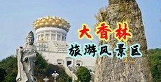 干逼骚逼视频好看中国浙江-绍兴大香林旅游风景区